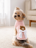 Pink Striped Turtleneck Dog Sweater with Teddy Bear Embroidery