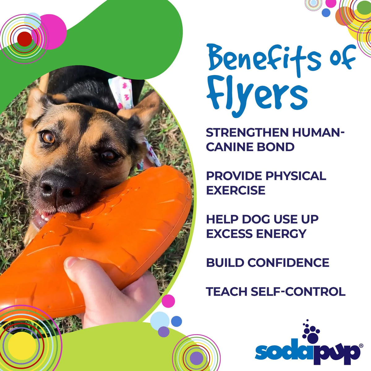 SodaPup Bottle Top Flyer Small Rubber Dog Frisbee – Orange