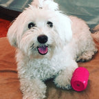 SodaPup Puppy Can Rubber Chew Toy & Treat Dispenser – Pink