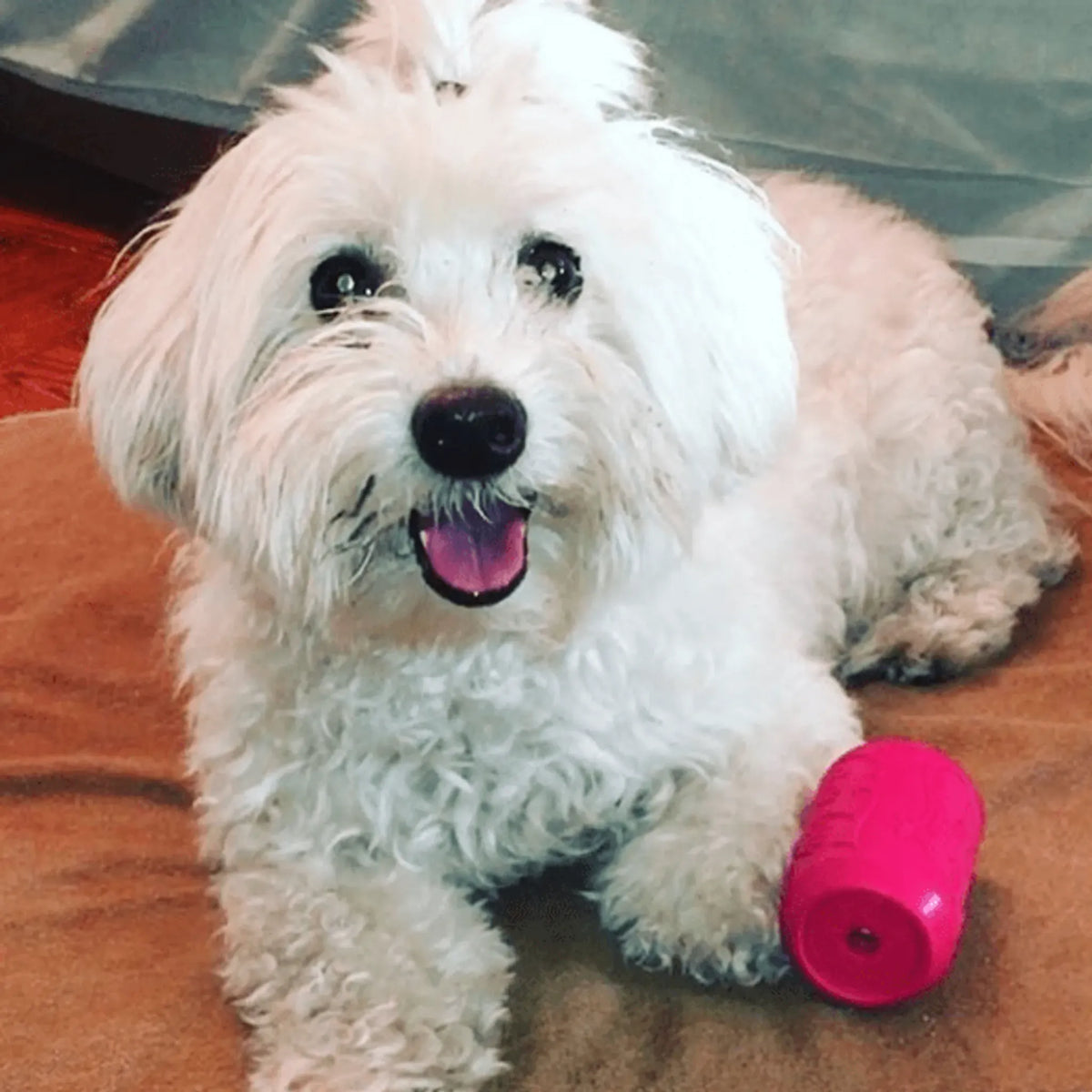 SodaPup Puppy Can Rubber Chew Toy & Treat Dispenser – Pink