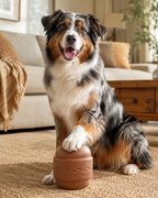 SodaPup Hamburger Rubber Dog Chew Toy & Treat Dispenser