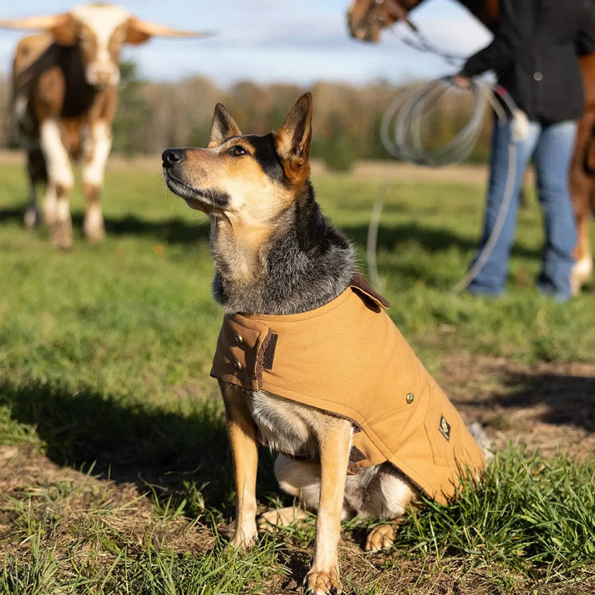 Brown Canvas Dog Coat with Fleece Lining | Sablewood