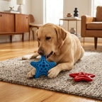 Dog chewing a blue SodaPup Starfish toy with a red Starfish toy nearby