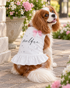 Selfie Rhinestone Ruffle Dog Dress | Sablewood