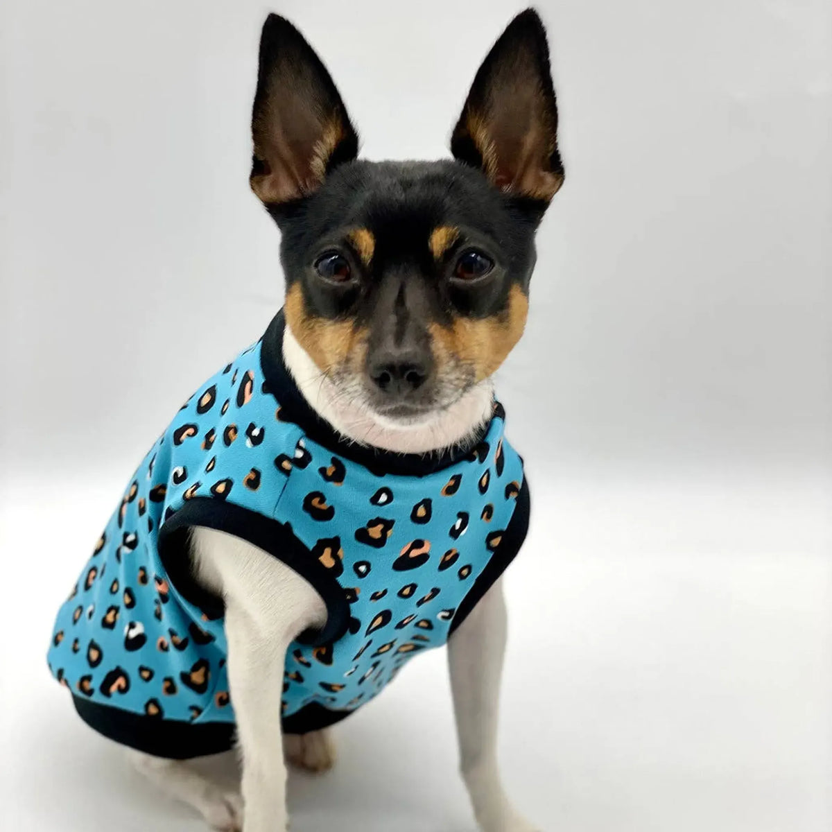 Teal Leopard Print Dog Tank Top | Sablewood